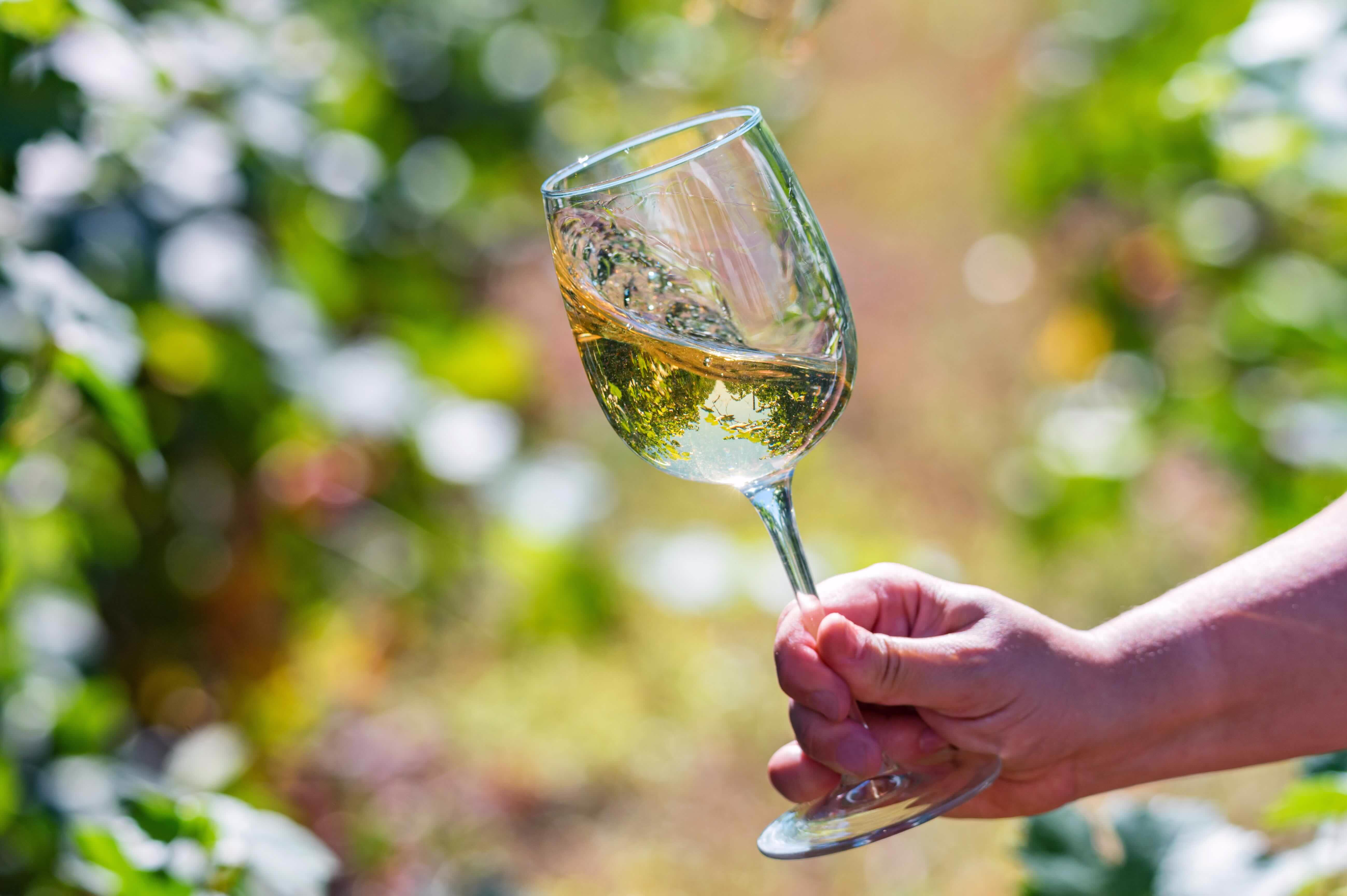 Hand holding a tilted glass of white wine outside with green foliage blurred in the background.